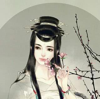 上將小說風(fēng)荷游月探秘，風(fēng)荷游月探秘，上將傳奇之旅