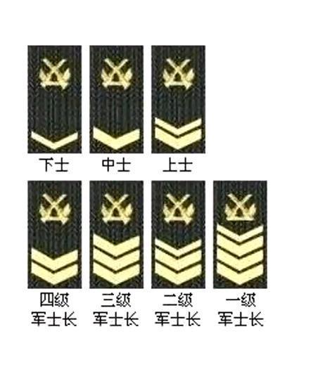 七級(jí)士官，級(jí)別待遇深度解析，七級(jí)士官級(jí)別待遇深度解析與探討