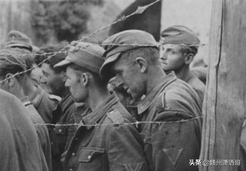 志愿軍軍歌與純音樂的交響，志愿軍軍歌與純音樂的交響，英勇旋律的交融與傳承