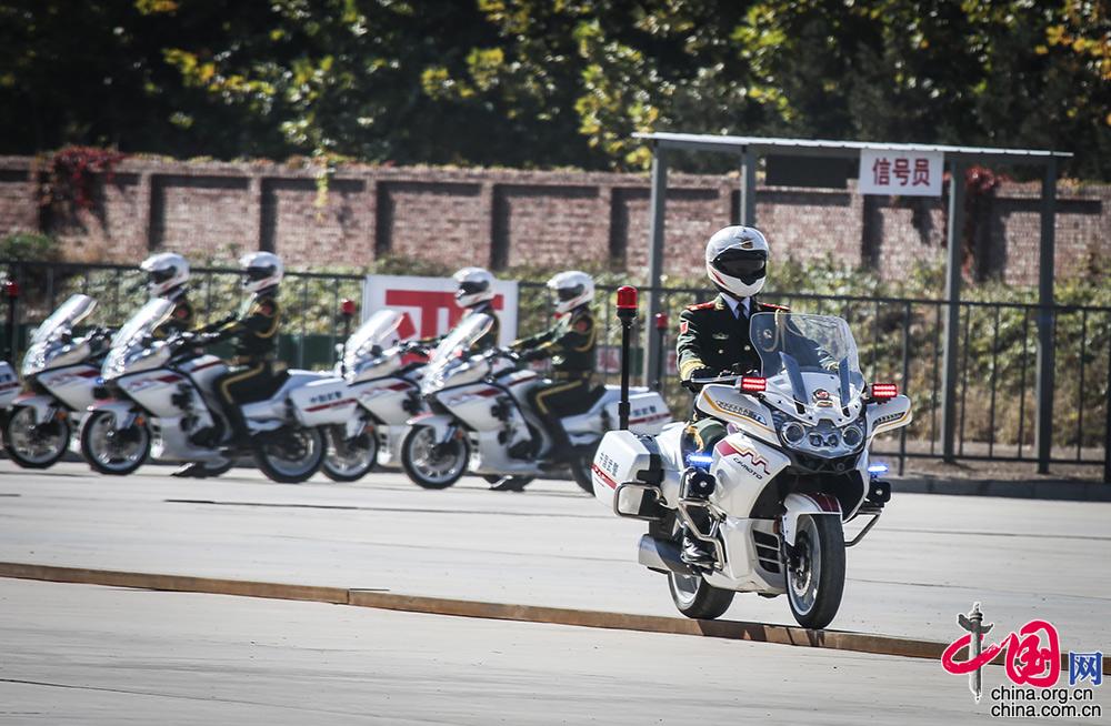 國(guó)賓護(hù)衛(wèi)隊(duì)選拔標(biāo)準(zhǔn)與身高要求——探究護(hù)衛(wèi)隊(duì)員身高的多重意義，國(guó)賓護(hù)衛(wèi)隊(duì)選拔標(biāo)準(zhǔn)與身高探究，身高背后的多重意義