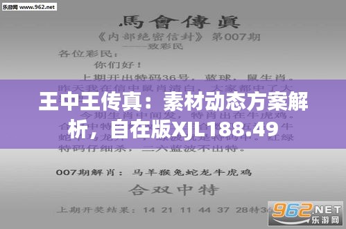 王中王一肖特特馬，探尋卓越背后的故事，探尋王中王一肖特特馬背后的卓越故事