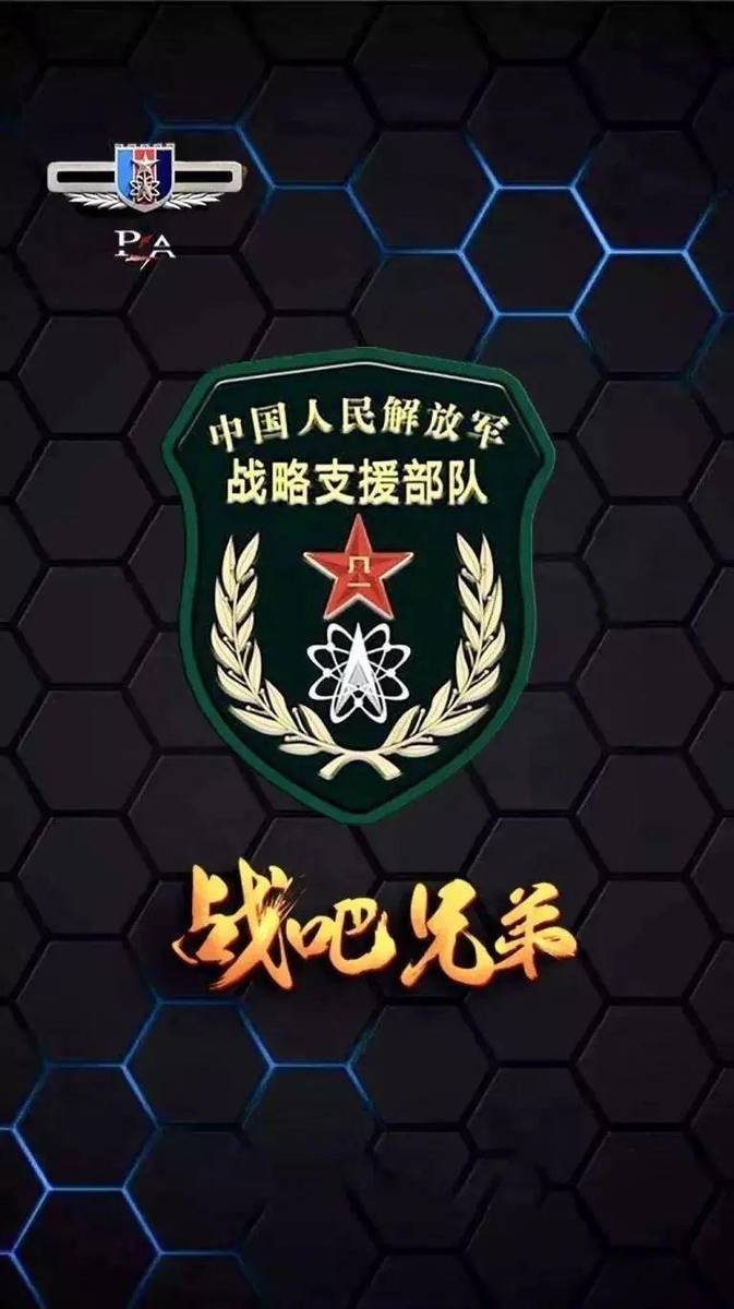 戰(zhàn)略支援部隊(duì)，作為一種特殊的軍種，戰(zhàn)略支援部隊(duì)，特殊軍種的獨(dú)特力量