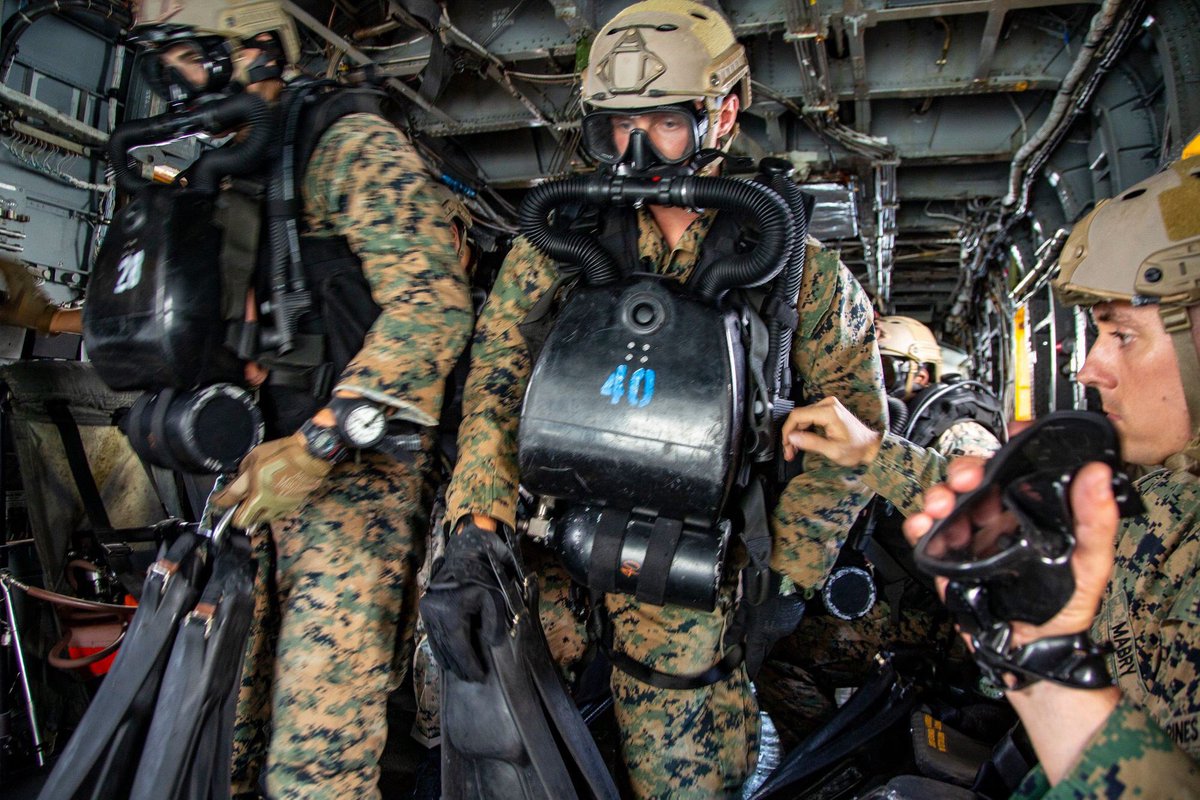 骨灰級軍迷網站，深度探索與獨特魅力，骨灰級軍迷網站的獨特魅力與深度探索