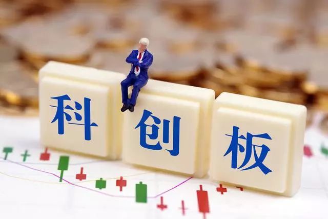 王中王287期指一生肖——探尋背后的神秘與魅力，王中王287期生肖背后的神秘魅力探尋