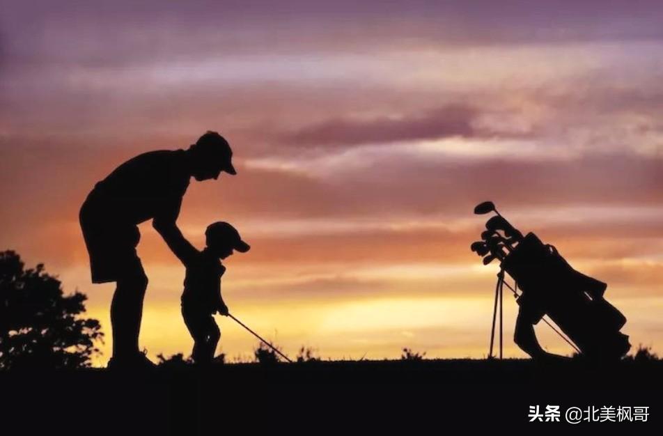森林王中王與神秘生肖——探尋森林霸主背后的奧秘，森林霸主揭秘，王中王與神秘生肖的奧秘探尋