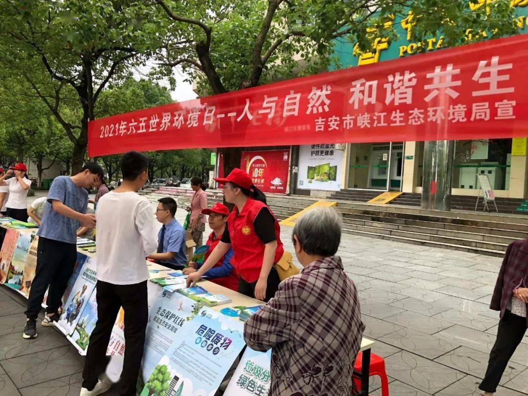 澳門最快開獎六開和資料詳解，澳門開獎六開資料詳解與快速開獎解析