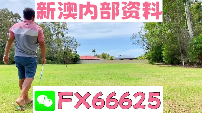 一肖二馬王中王，王者風(fēng)范與獨特魅力，王者風(fēng)范的獨特魅力，一肖二馬王中王