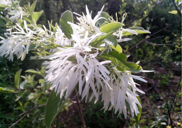 今天也是莬絲花韓殊的日子，莬絲花韓殊的日常記錄