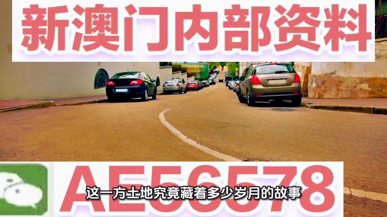 澳門精準三肖三碼資料內(nèi)部解析，澳門精準三肖三碼資料深度解析