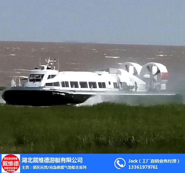 水陸兩棲氣墊船價格及其市場分析，水陸兩棲氣墊船價格與市場分析概覽