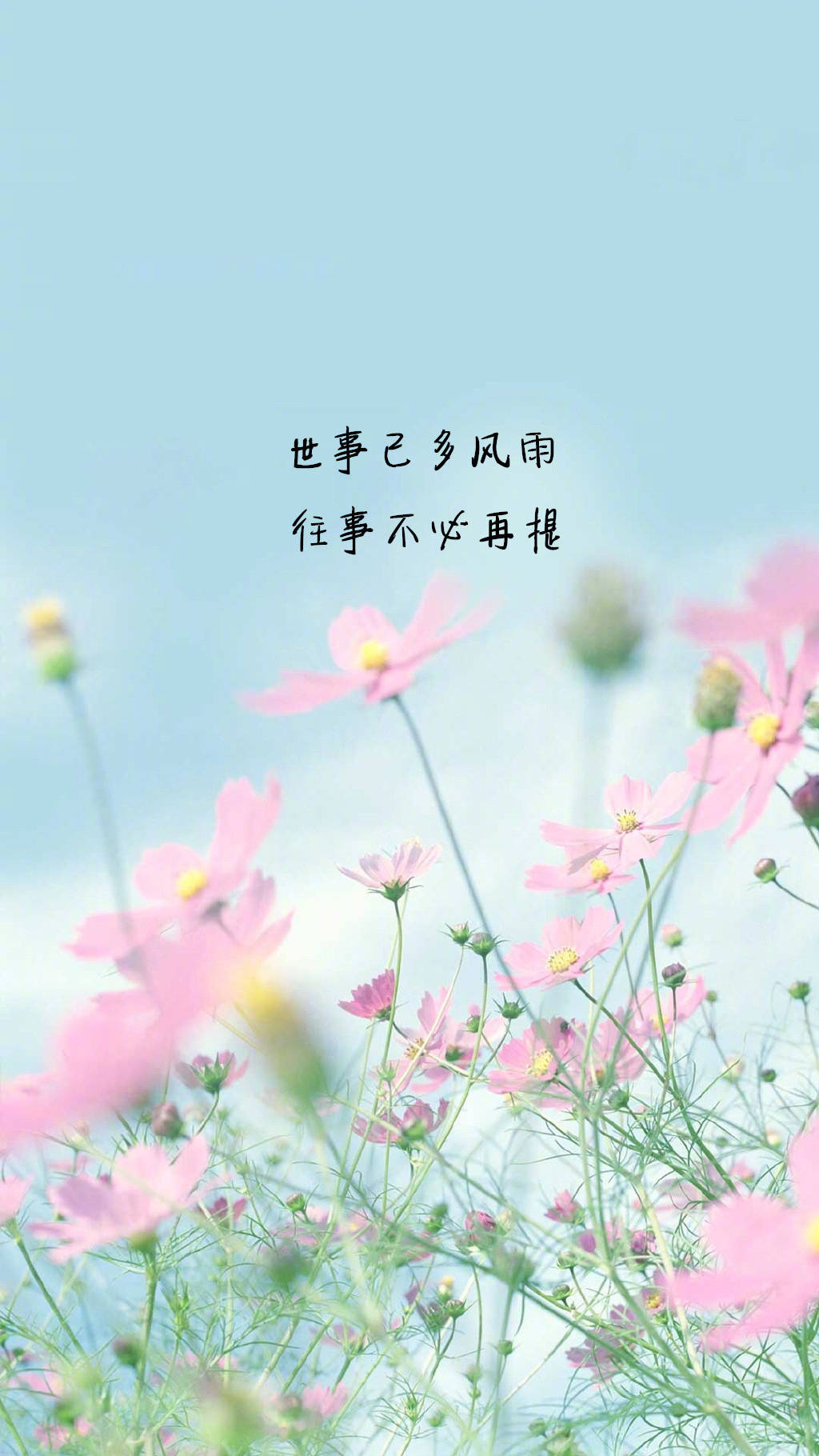 美言圖網(wǎng)，探索語(yǔ)言與視覺(jué)藝術(shù)的交匯點(diǎn)，美言圖網(wǎng)，語(yǔ)言與視覺(jué)藝術(shù)的交融探索