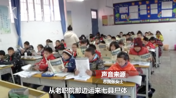 中心小學(xué)死人案件，探究背后的真相與反思教育安全，中心小學(xué)死人案件背后的真相，探究與教育安全反思