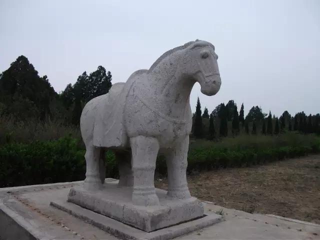 儀仗兵最低身高要求及其相關(guān)探討，儀仗兵身高要求及相關(guān)探討