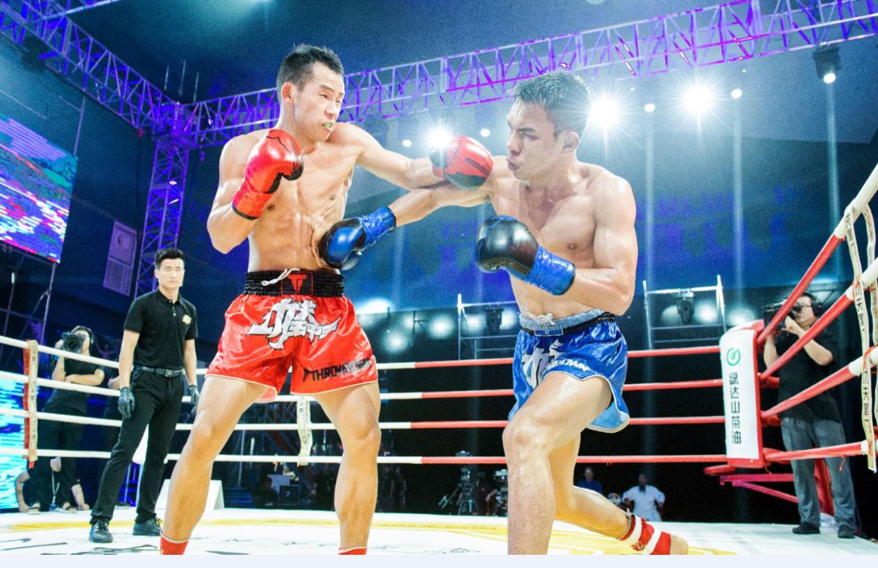 王中王欲錢猜一肖，揭秘生肖之謎與財富游戲，揭秘生肖之謎與財富游戲，王中王欲錢猜一肖探秘之旅