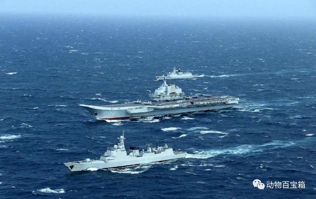 刀口談兵軍改下的海軍轉型，第十六屆海軍發(fā)展的深度解析，海軍轉型深度解析，刀口談兵軍改下的第十六屆海軍發(fā)展之路