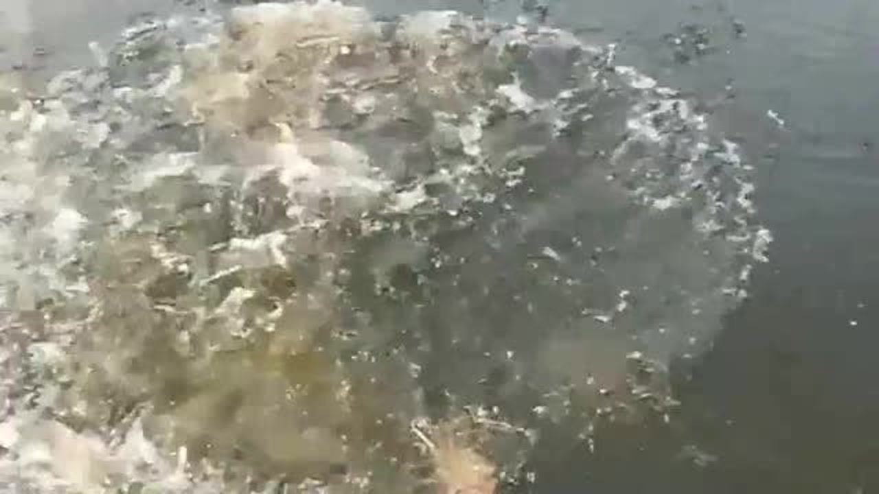 探索未知，它能浮在水面上嗎？，探索未知，揭秘水面漂浮的神秘力量！