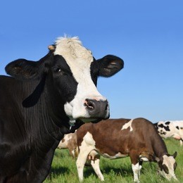 探索與啟示（或探索與啟示之旅）