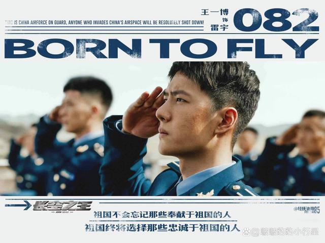 中國(guó)空軍電影經(jīng)典，英勇無(wú)畏，壯志凌云，中國(guó)空軍電影經(jīng)典，壯志凌云，英勇無(wú)畏的空戰(zhàn)傳奇