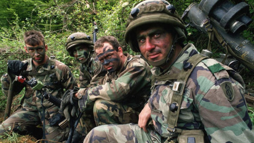 美軍裝備軍民保障研究，美軍裝備軍民融合保障研究