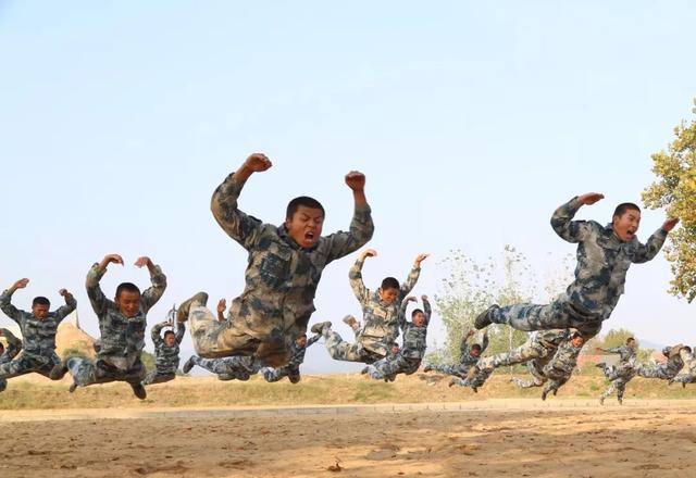 揭秘中國人民解放軍陸軍第65軍轉(zhuǎn)型為第81軍的歷程與意義，中國人民解放軍陸軍第65軍轉(zhuǎn)型為第81軍的歷程與意義揭秘