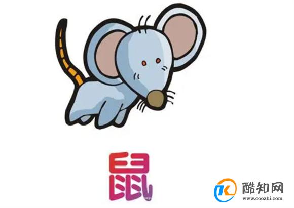 澳門老鼠報一肖一碼，揭秘背后的神秘與真相，澳門老鼠報一肖一碼揭秘背后的神秘真相