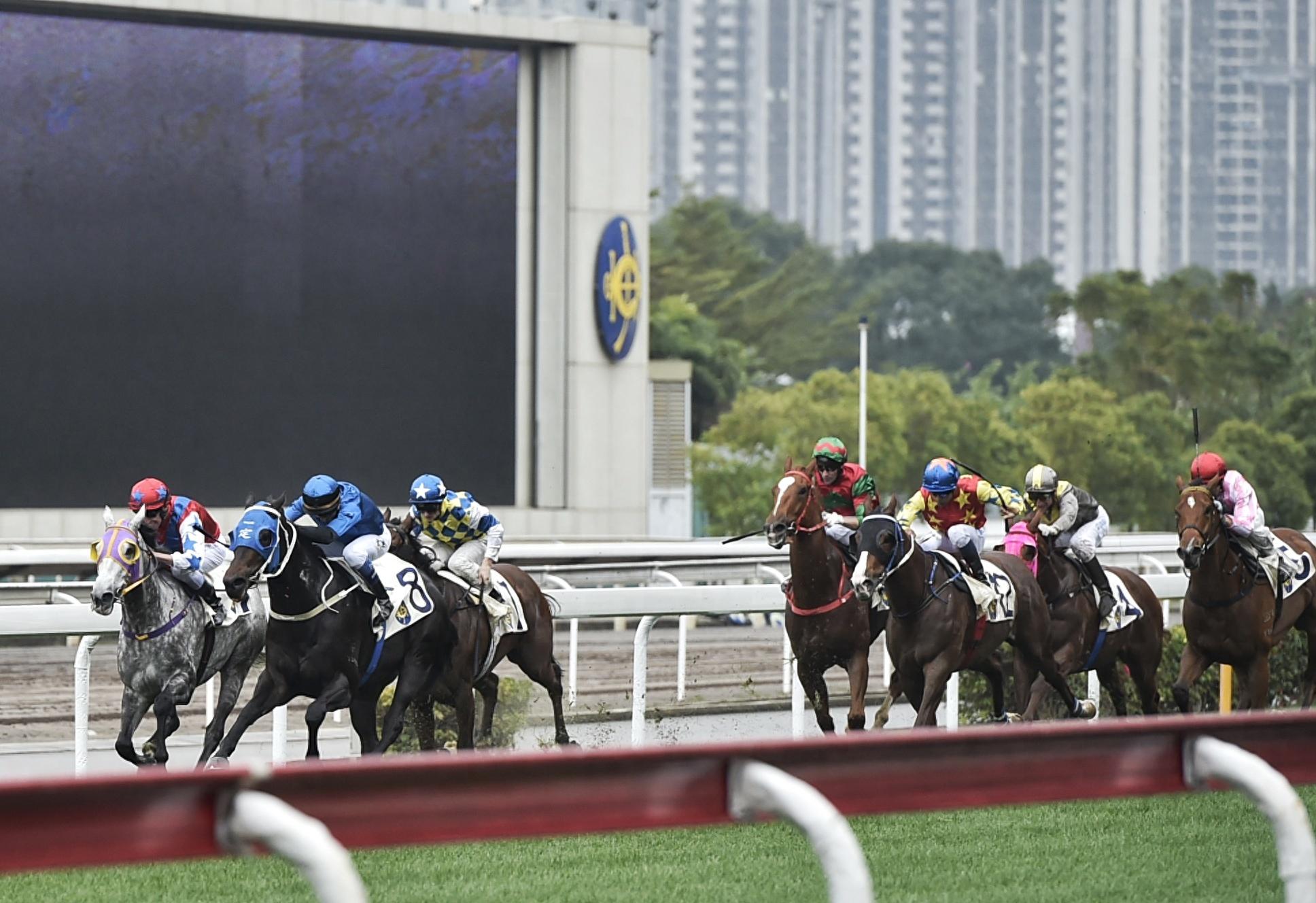 澳門(mén)賽馬會(huì)資料最準(zhǔn)一碼，深度解析與全方位解讀，澳門(mén)賽馬會(huì)資料解析，最準(zhǔn)一碼深度解讀與全方位指南