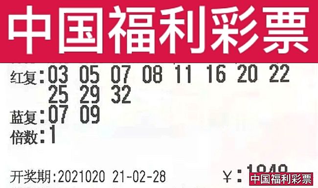 六玄視角下的澳門彩票開獎結(jié)果分析（XXXX年XX月XX日），六玄視角下的澳門彩票開獎結(jié)果深度解析（XXXX年XX月XX日開獎）
