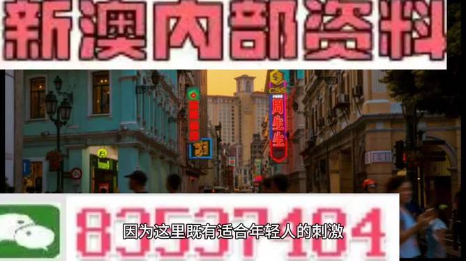 澳門內(nèi)部資料精準(zhǔn)大全2023，深度探索與預(yù)測分析，澳門內(nèi)部資料深度探索與預(yù)測分析2023