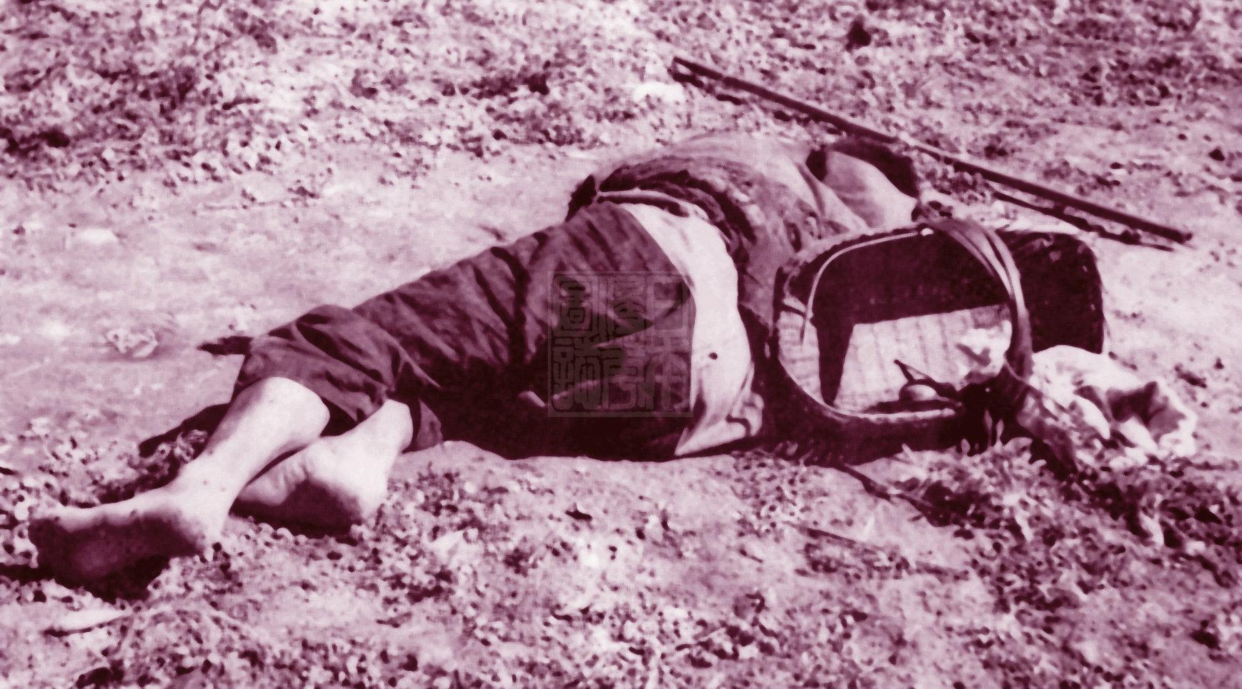 中國空軍裝備大揭秘，殲-20與殲-16數(shù)量驚人，中國空軍裝備揭秘，殲-20與殲-16數(shù)量驚人展露雄姿