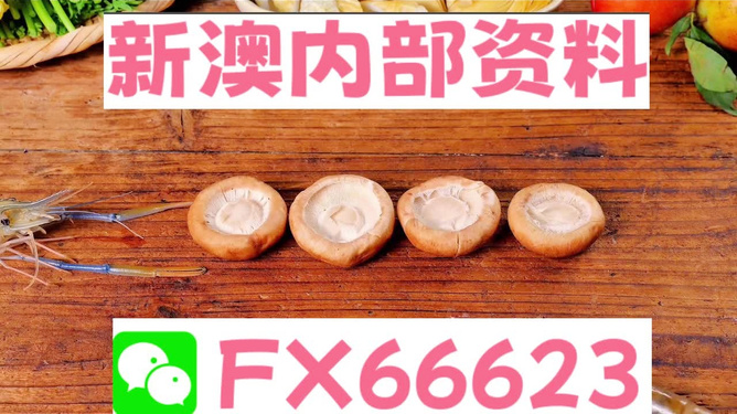 新澳正版資料免費(fèi)提供的價(jià)值與影響，新澳正版資料免費(fèi)提供的價(jià)值及其影響
