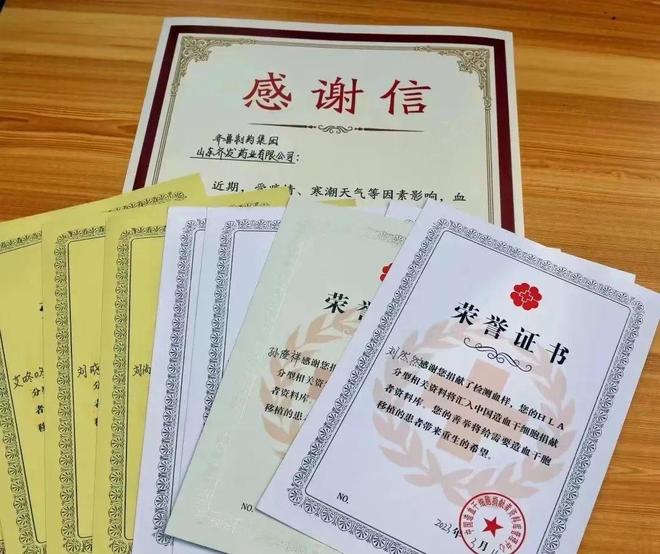 齊發(fā)保的職位與成就，探索現(xiàn)狀與發(fā)展，齊發(fā)保的職位成就概覽，現(xiàn)狀探索與未來(lái)發(fā)展展望