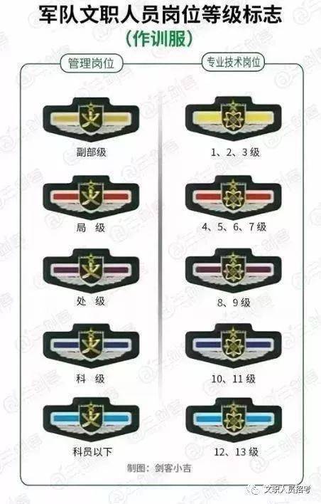 關(guān)于專業(yè)技術(shù)軍官肩章，職責(zé)、象征與榮譽(yù)的象征，專業(yè)技術(shù)軍官肩章，職責(zé)、象征與榮譽(yù)的彰顯
