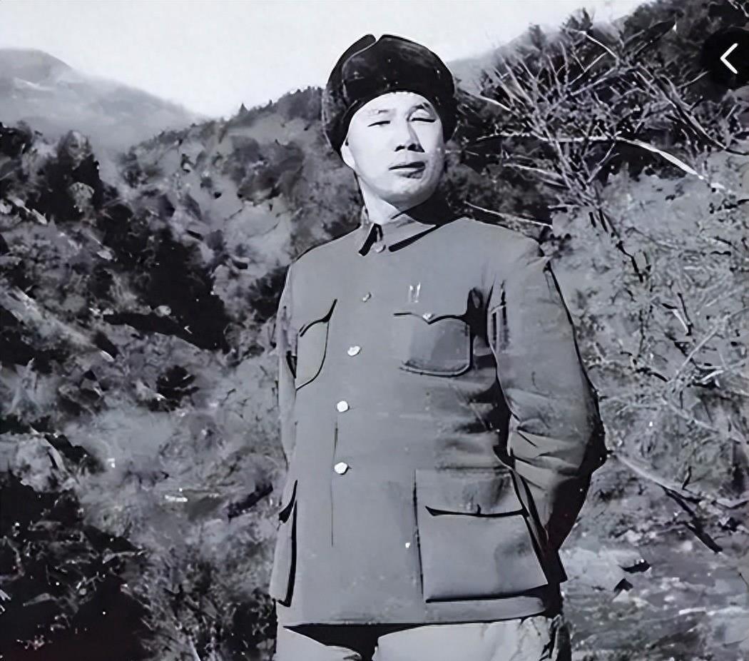 解放戰(zhàn)爭(zhēng)時(shí)期部隊(duì)番號(hào)及其歷史演變，解放戰(zhàn)爭(zhēng)時(shí)期部隊(duì)番號(hào)及其歷史演變概覽