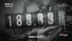 軍事頻道熱門軍事大全最新動態(tài)解析，軍事頻道熱門動態(tài)解析大全最新更新