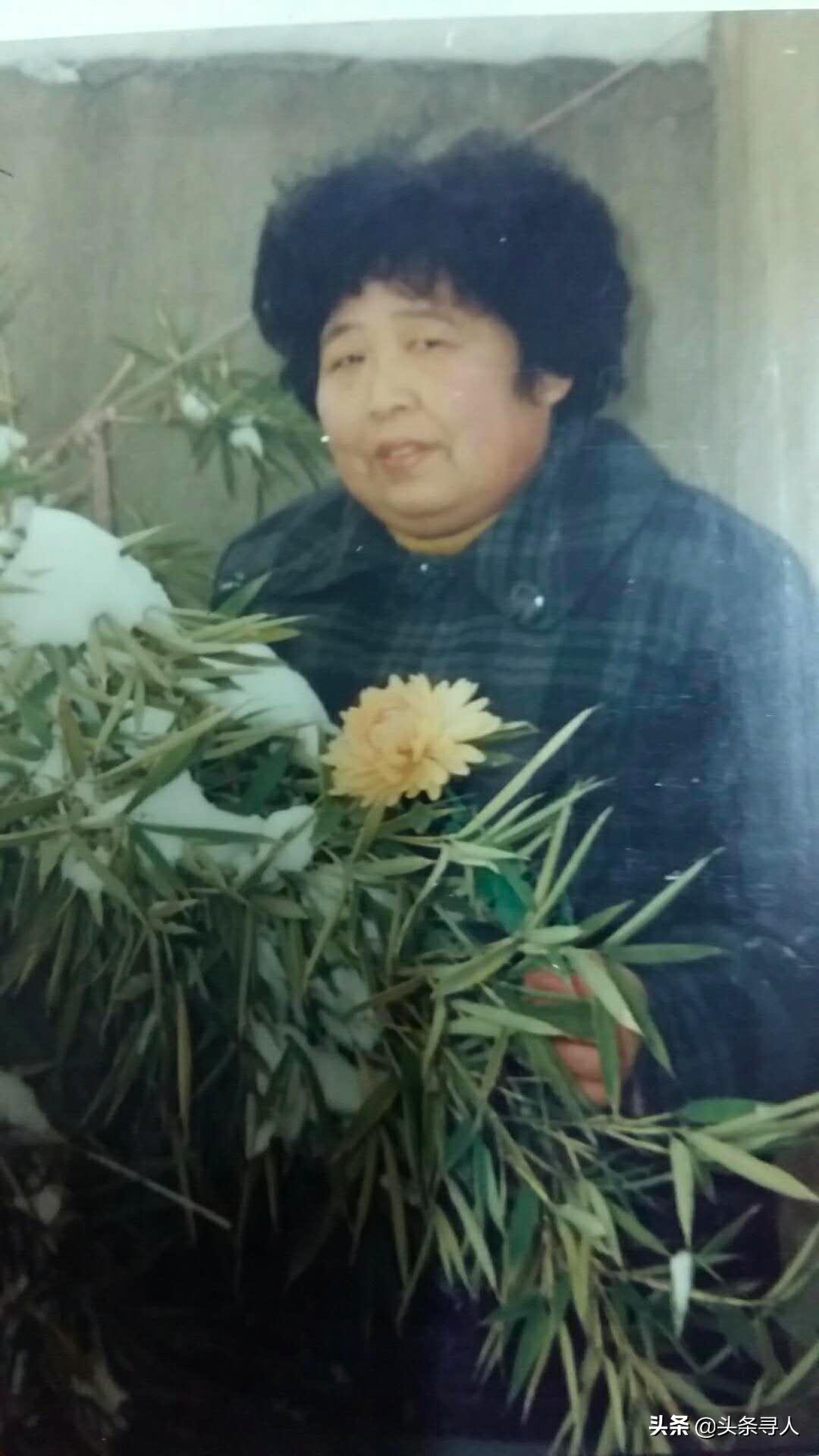 江蘇今日的新聞頭條，聚焦江蘇新動態(tài)與發(fā)展亮點，江蘇新動態(tài)與發(fā)展亮點，今日新聞頭條聚焦江蘇新進(jìn)展