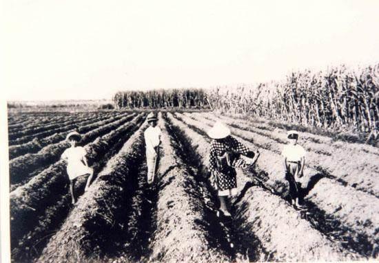 移民臺灣政策最新消息深度解讀，臺灣移民政策最新動態(tài)深度解析