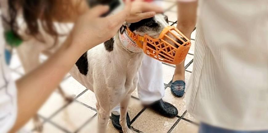 澳門天天開馬結(jié)果出來的探索與解析，澳門天天開馬結(jié)果解析與探索