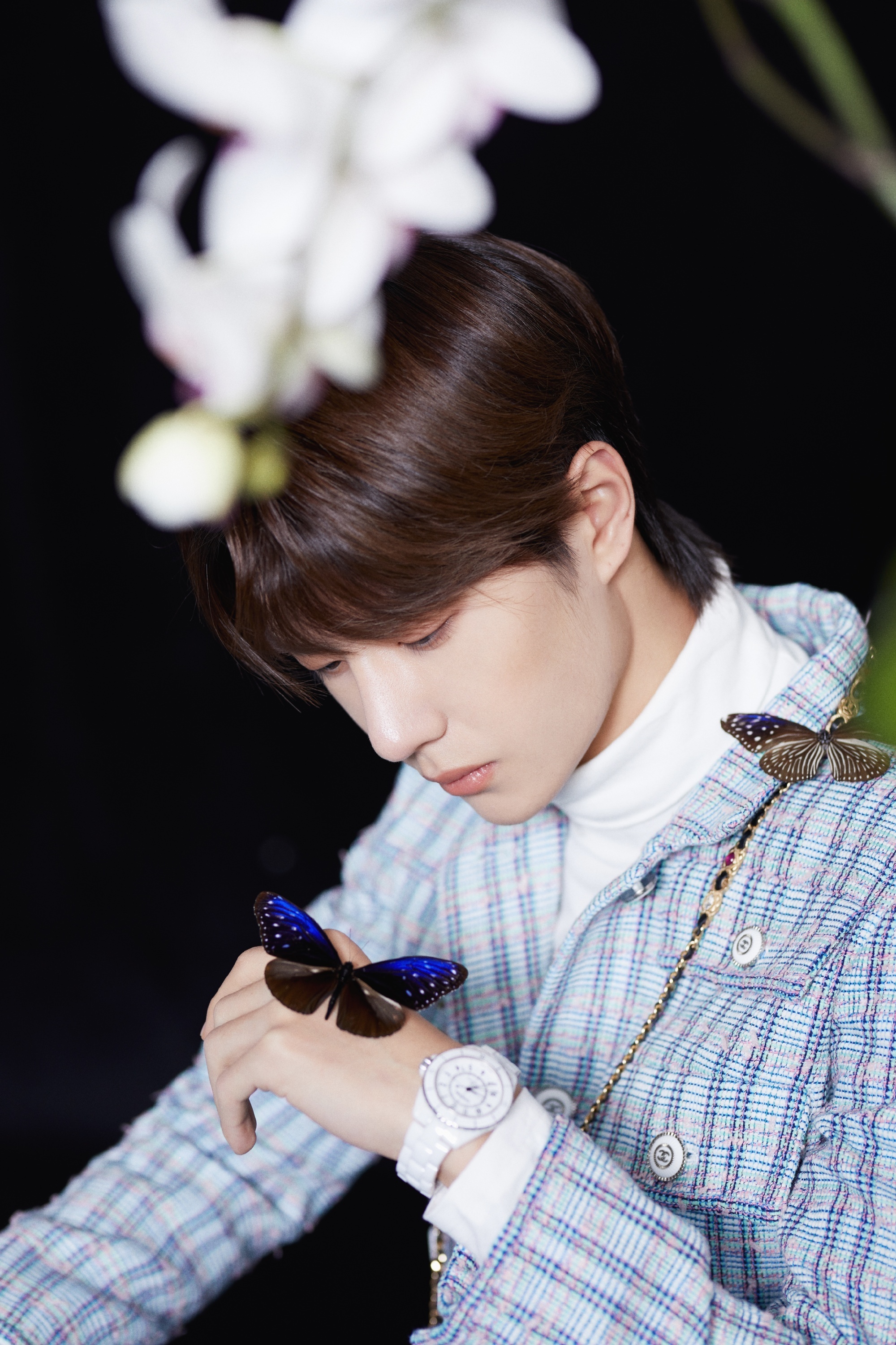 探索如意鐵王中王一肖中特的神秘世界，如意鐵王中王一肖中特，神秘世界的探索